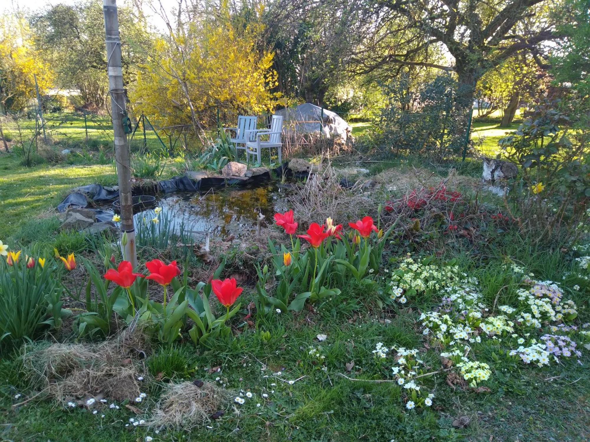 La Bergeronnette Avec La Chaleur Du Feu De Bois Et Le Jardin